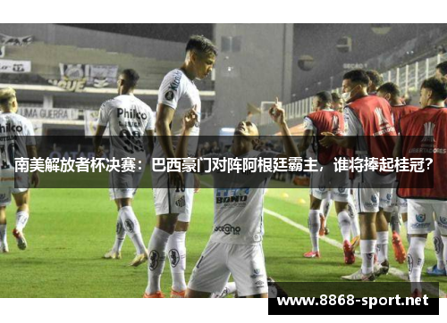 南美解放者杯决赛：巴西豪门对阵阿根廷霸主，谁将捧起桂冠？